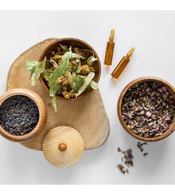  Immunerősítés természetesen – Gyógynövények, amik segítik a tested