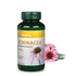 Vitaking echinacea (bíbor kasvirág) kivonat 250 mg 90 kap.