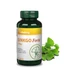 Vitaking ginkgo biloba forte 120 mg 60 kap.